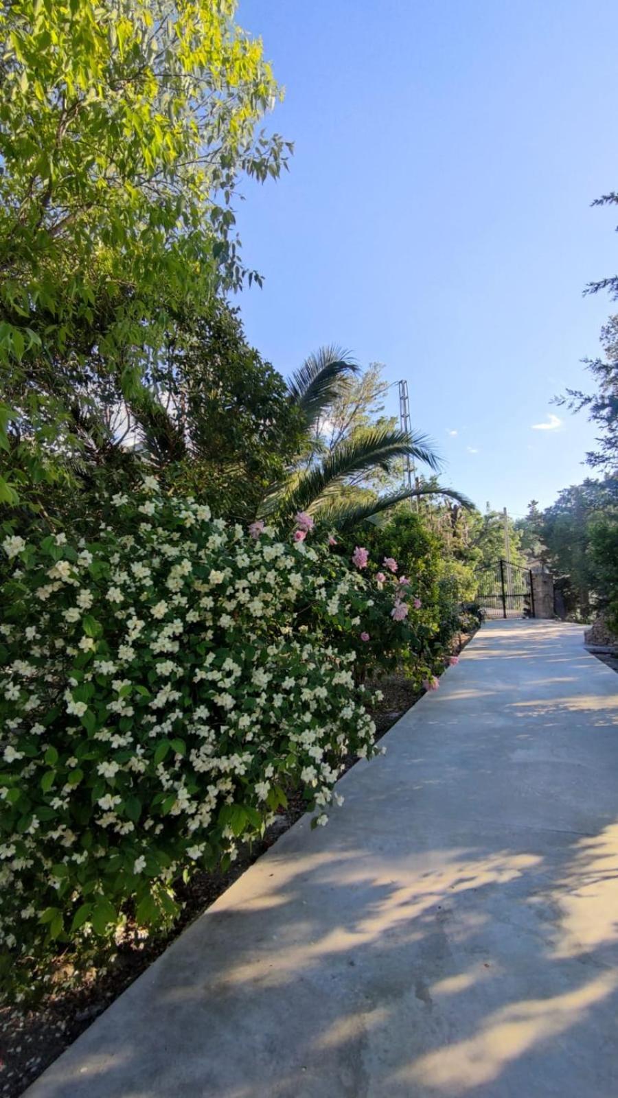 Villa Rosario La Iruela Buitenkant foto